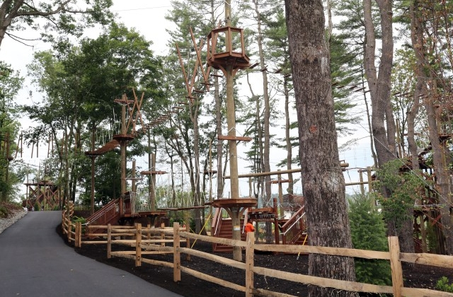 treetop adventure course south